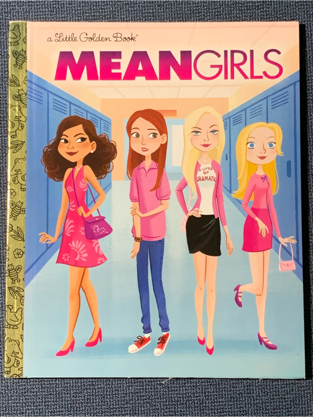 Little Golden Book: Mean Girls – Pink Illustrated Kids Book